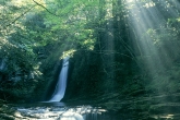 Akame Shijyuhachi Waterfall, Japan